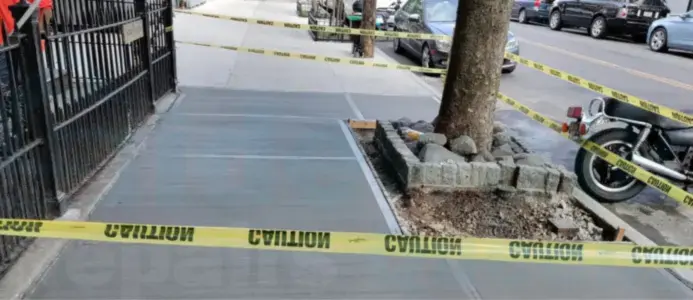 What to Do About a Sidewalk Damaged by Tree Roots? - Sidewalk Repairs Queens What to Do About a Sidewalk Damaged by Tree Roots? - Sidewalk Repairs Queens