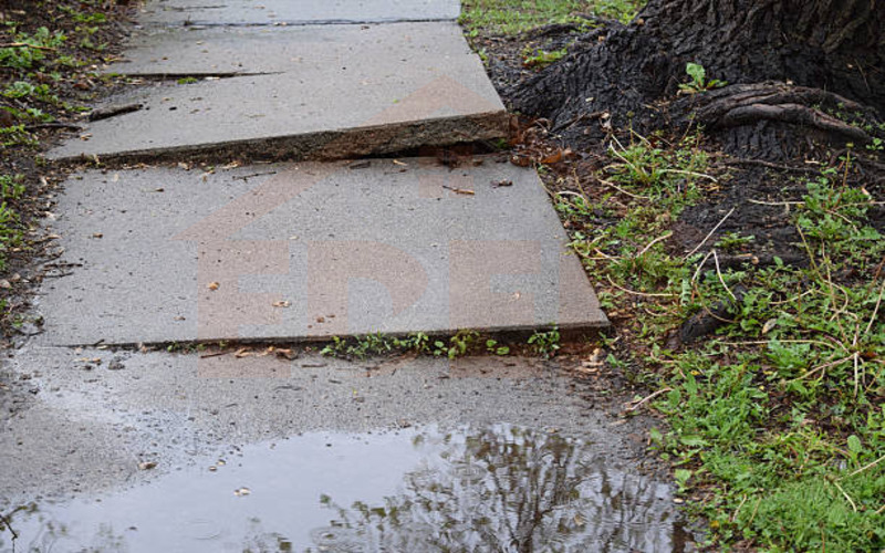 Fix Sidewalks Lifted by Tree Roots