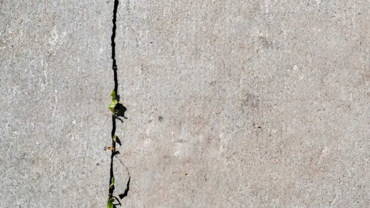 signs of concrete deterioration Crack in concrete with small green plants growing through it