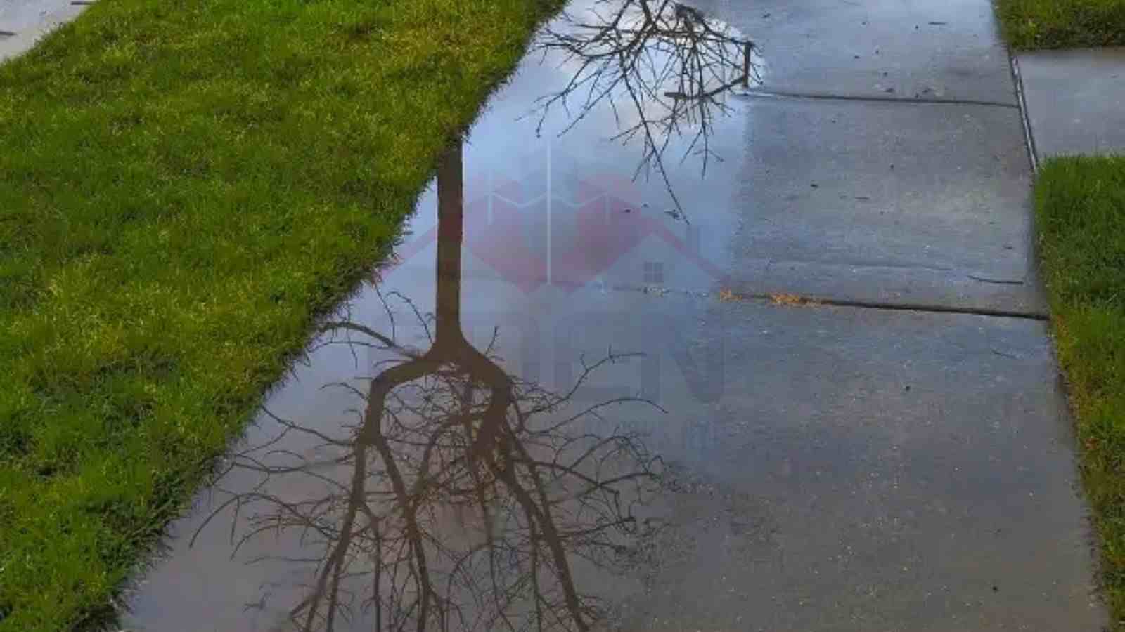 water under sidewalks Image