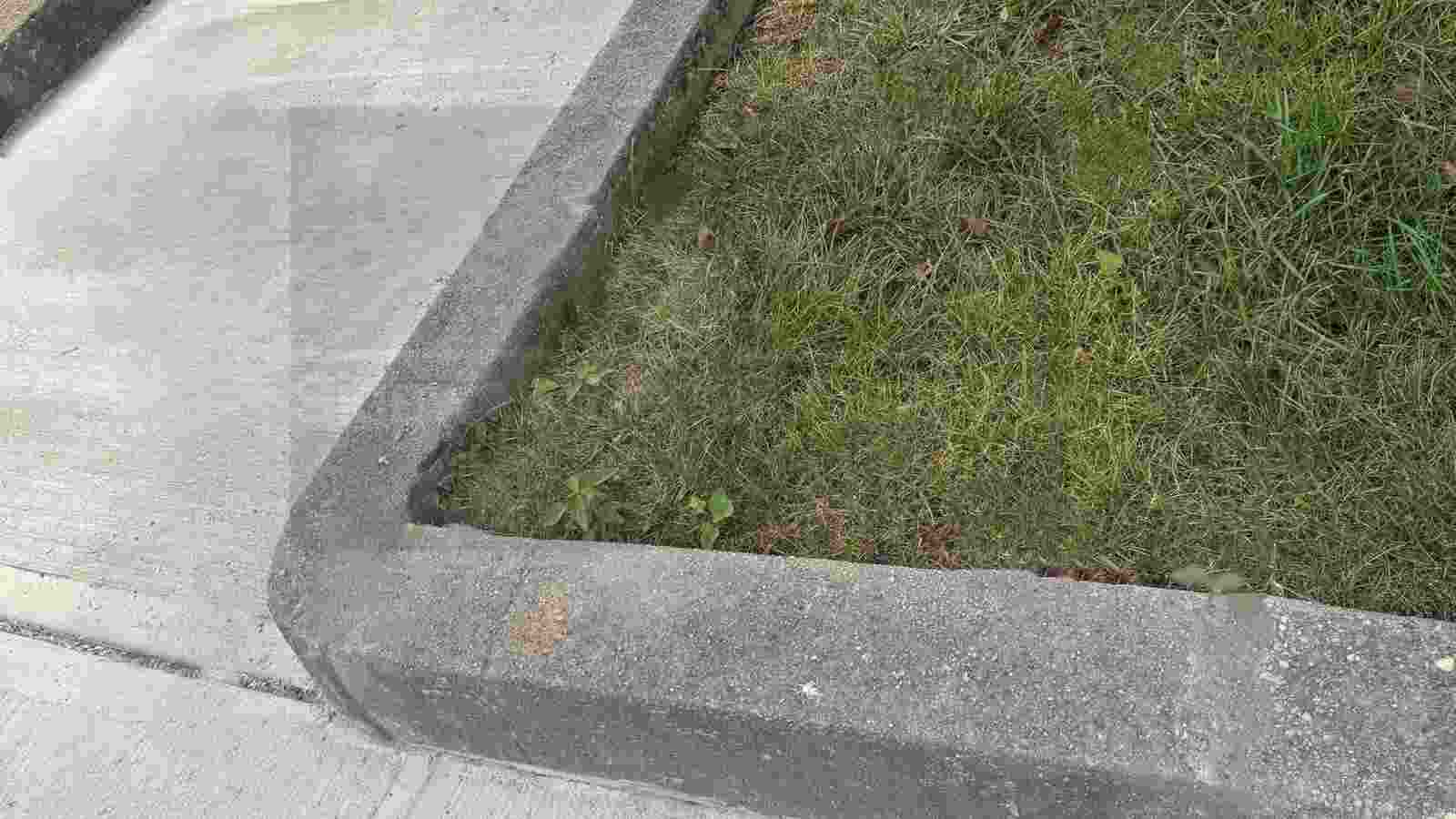Curb Appeal with Sidewalk Repairs Blog Image