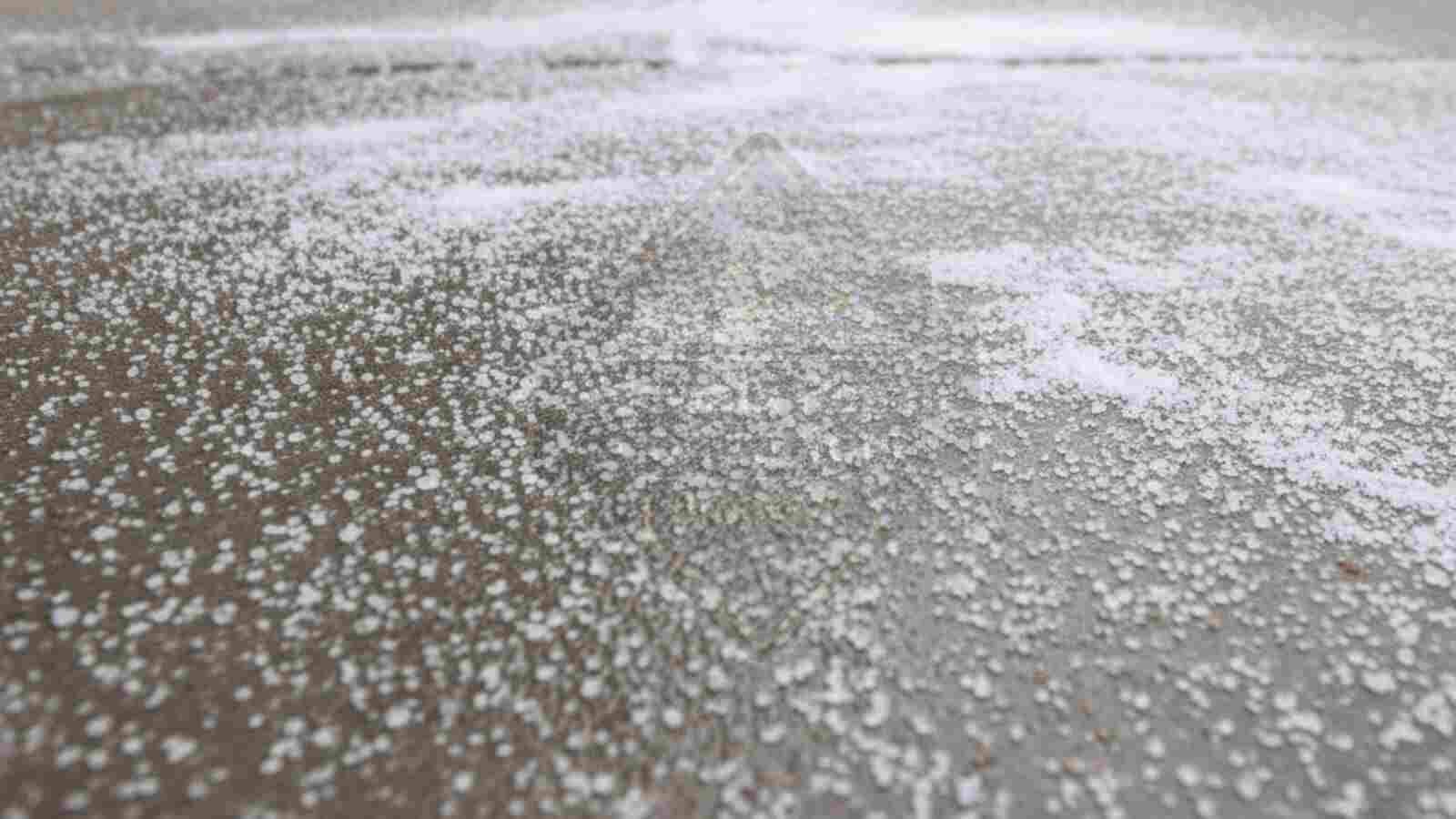 De-Icing Salt Damage on Concrete Sidewalk Blog Image